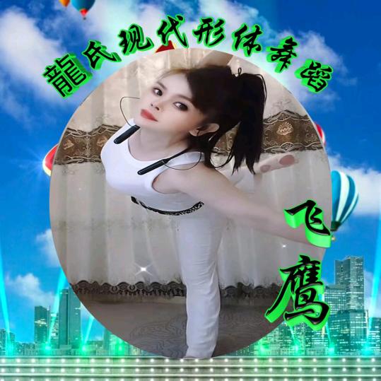 飞鹰