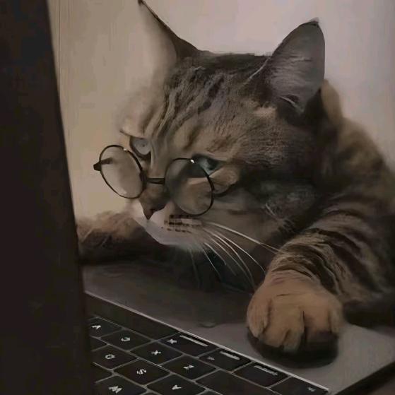 墨獒猫