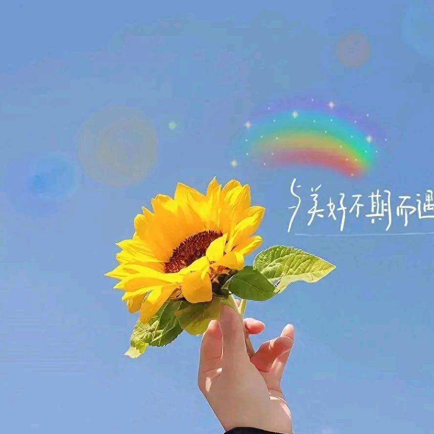 Iris~xiao