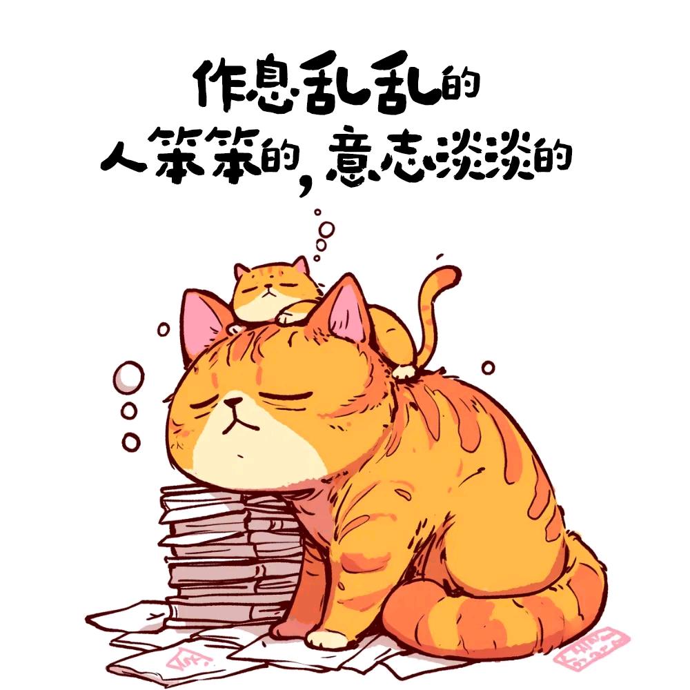 淘淘是只猫