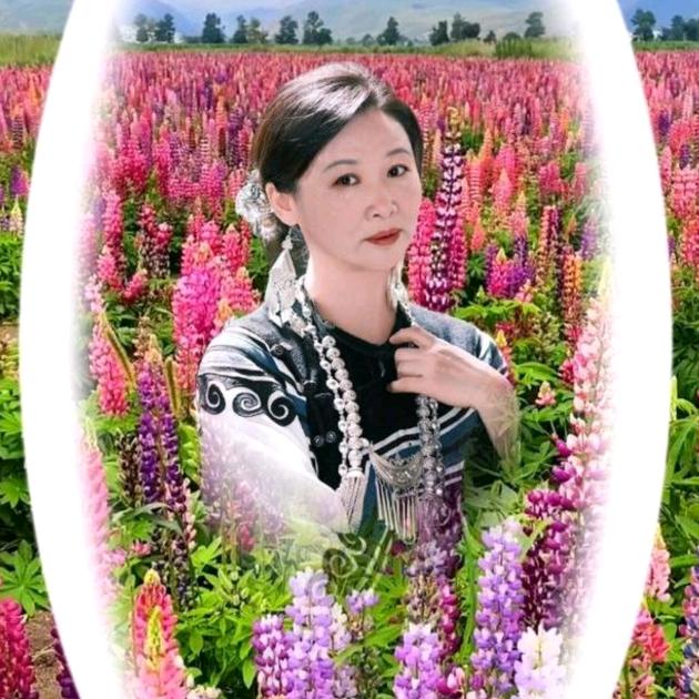何姐（橱窗）好物