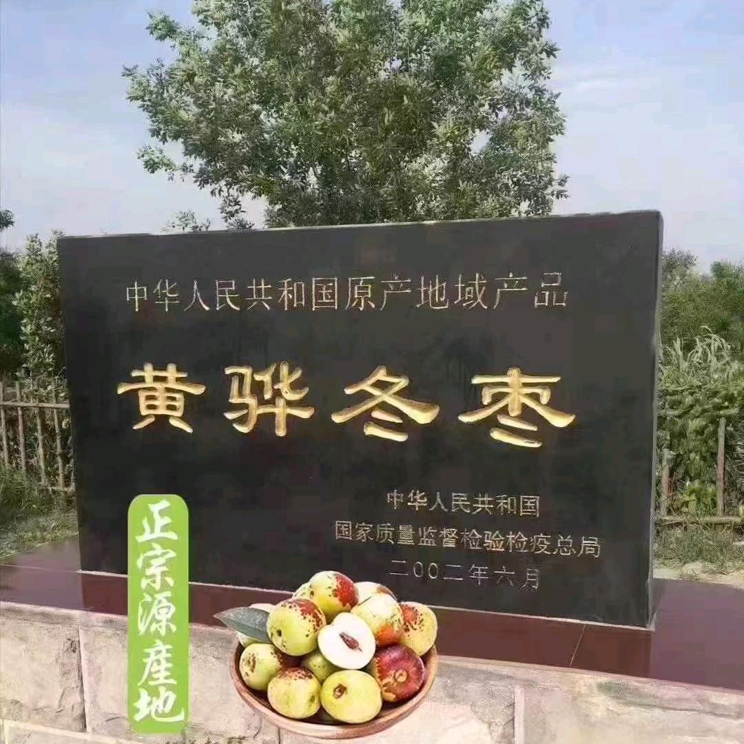 黄骅冬枣代办代收代发代存冷库冬枣