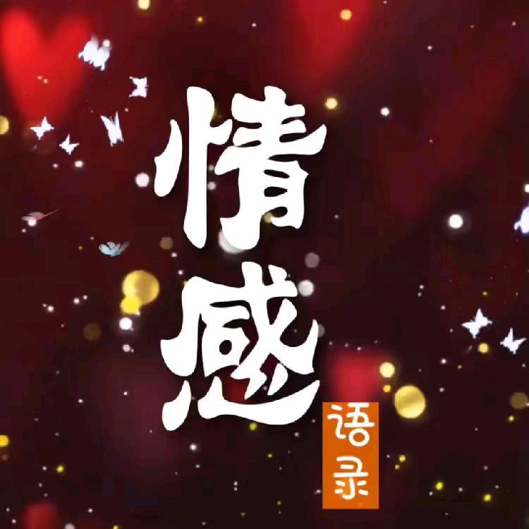洪波情感语录