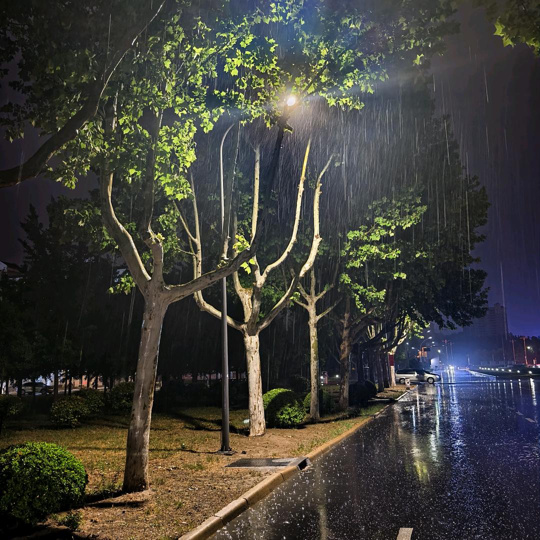 做梦吧，梦里啥都有
