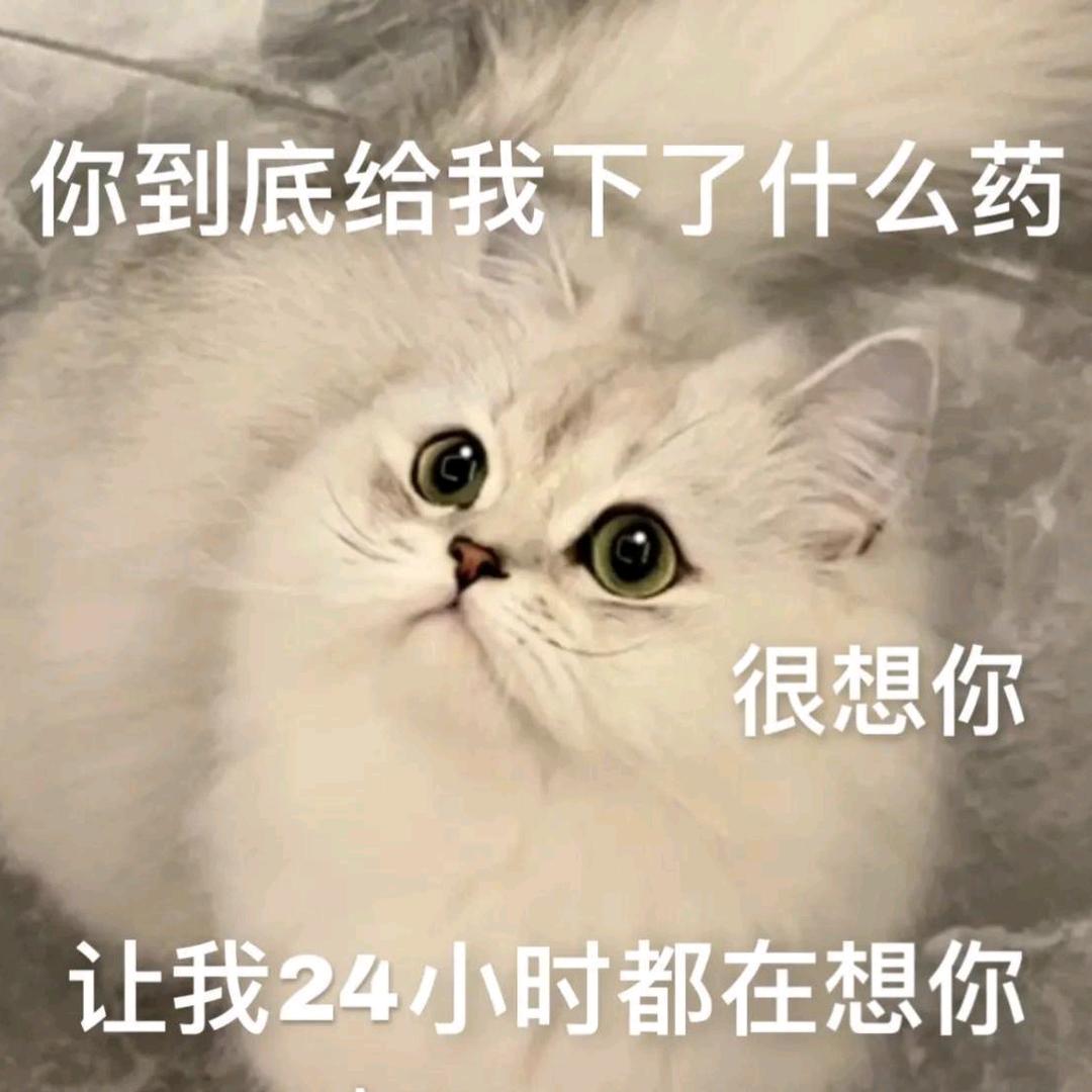 重生之在森林打黑工