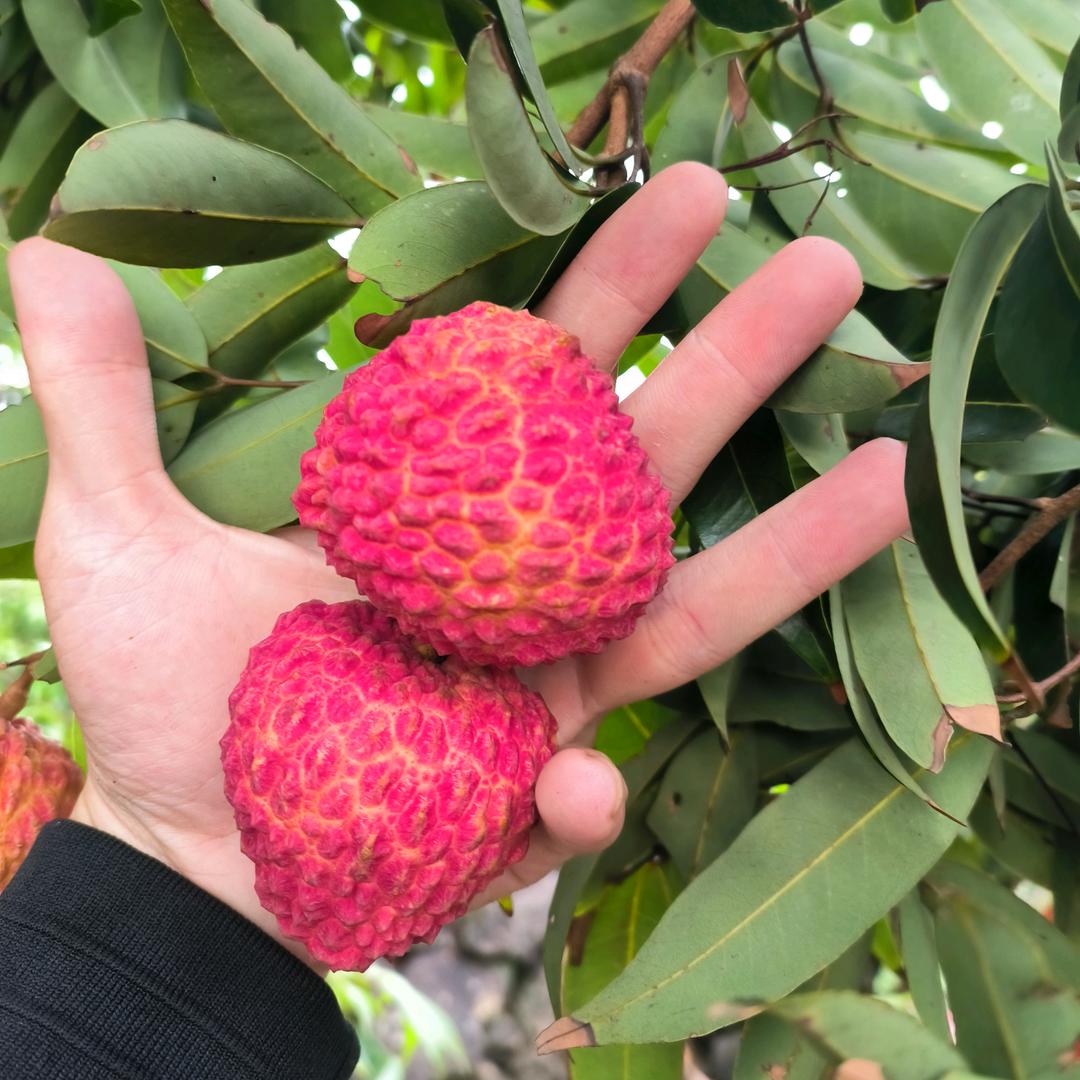 在你翻山越岭的尽头