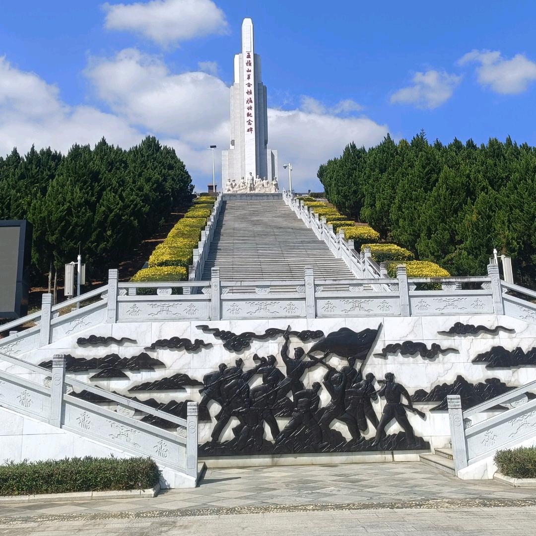 刘枝散叶