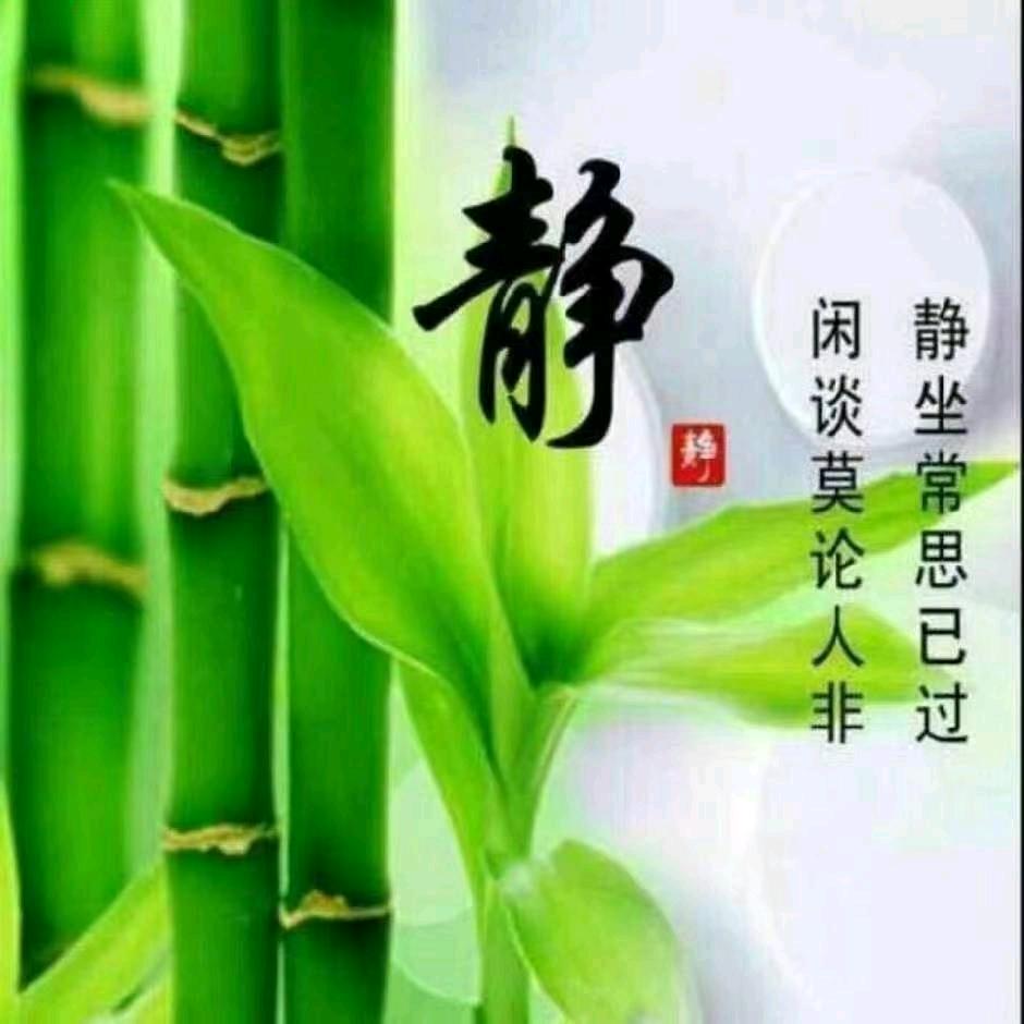 往事随飞