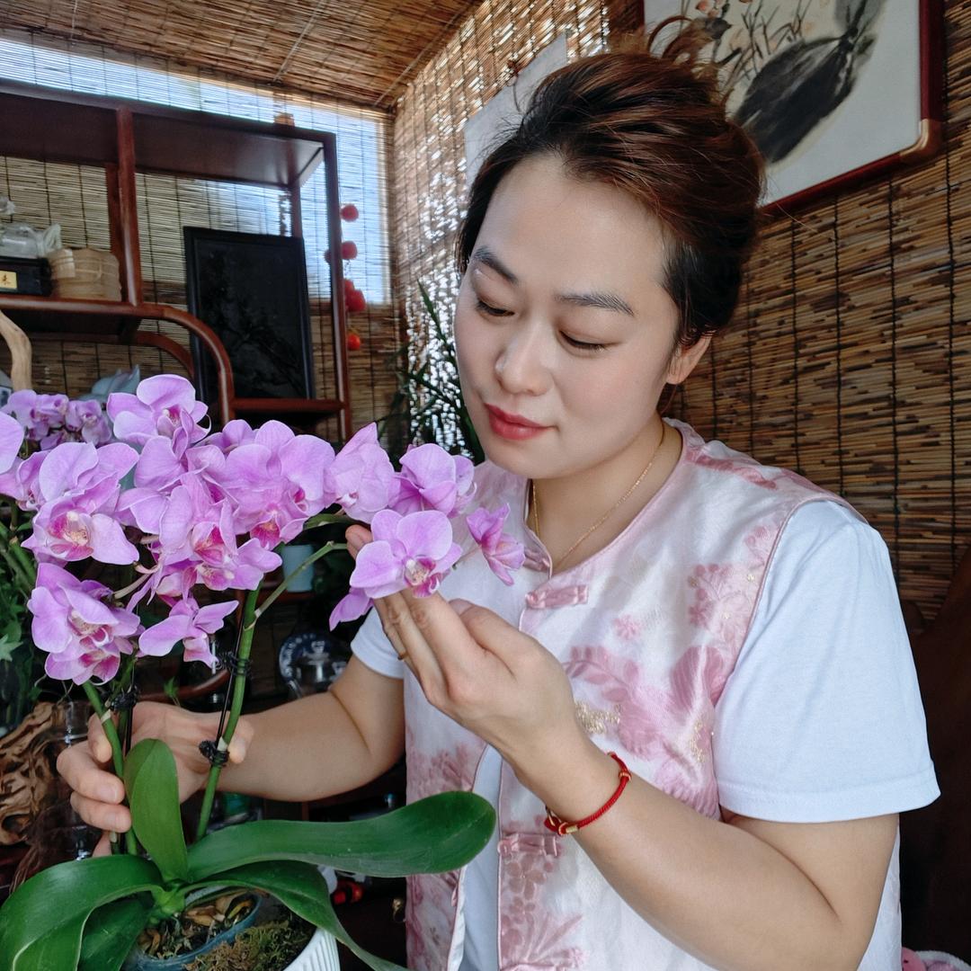 周口迪泉商贸  爱收藏