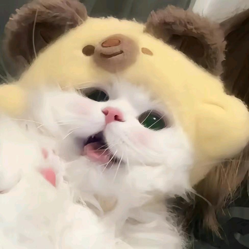 ？