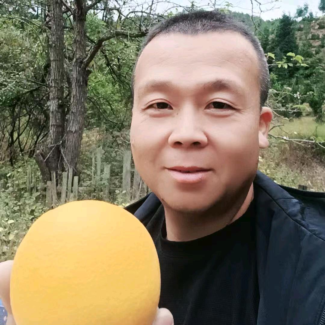 小乡橙