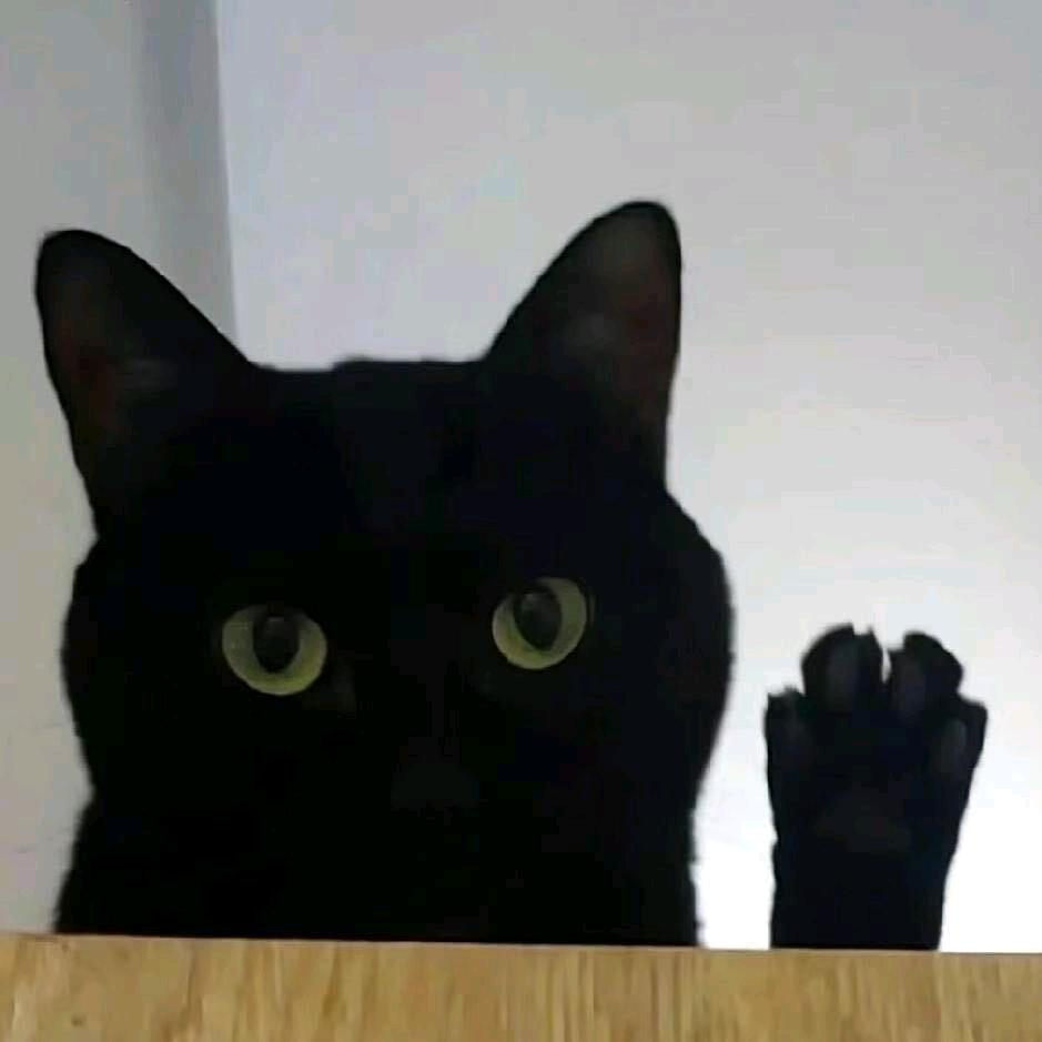 错觉