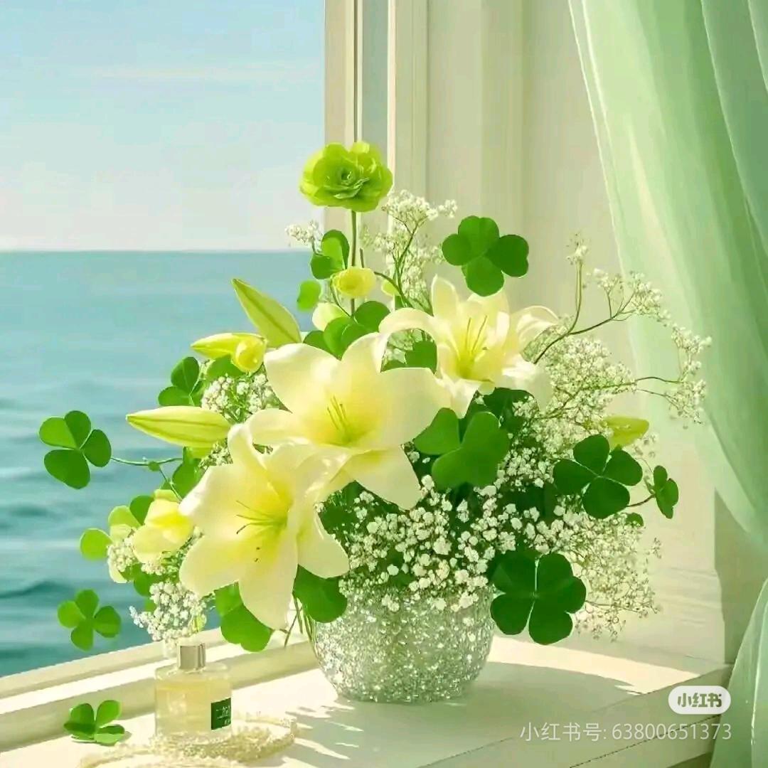 🌿🌿🌿