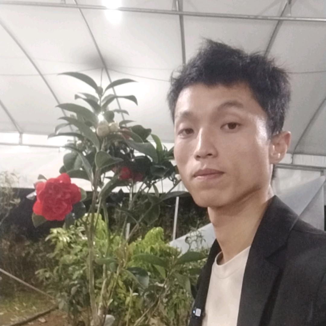 刘家杰
