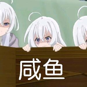 掌柜的v