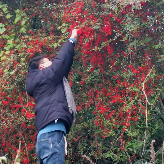 执着的|｡･㉨･)っ♡