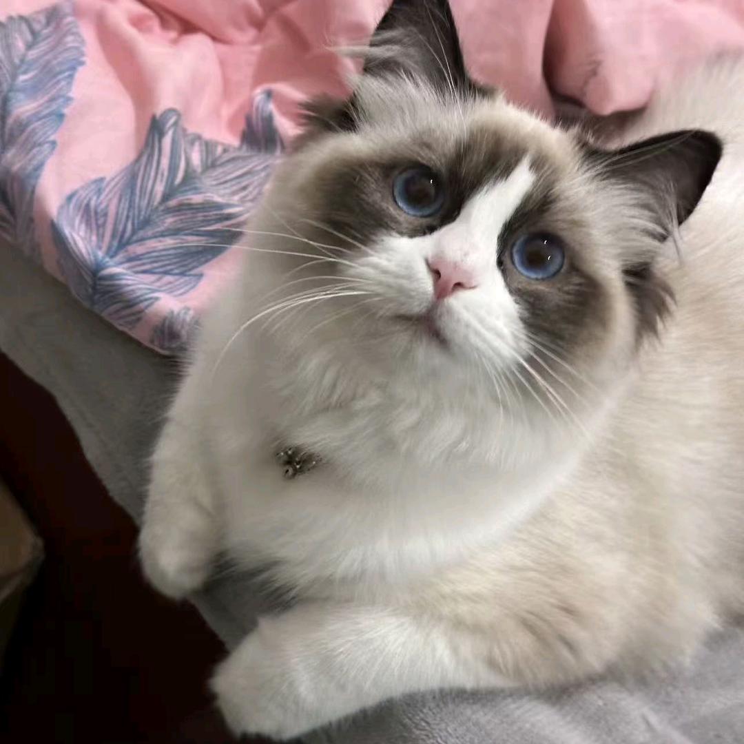 🌈嘻嘻不嘻嘻