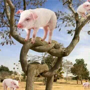 ঞ꯭ིྀ🥀执笔ꦹ写ུ忧伤ꦿོ