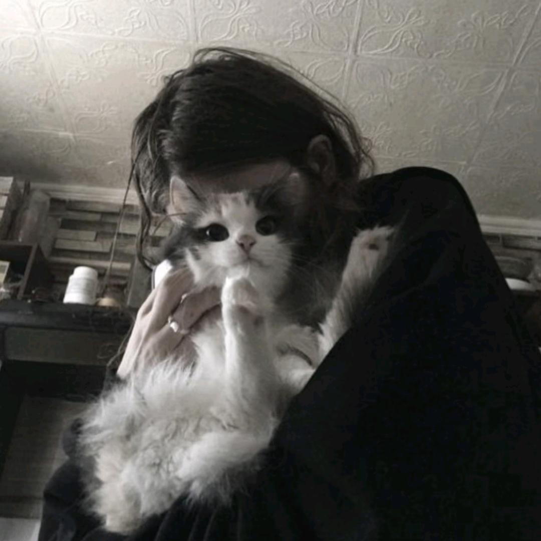 𝗕𝗼𝗡𝟭𝗶𝗟