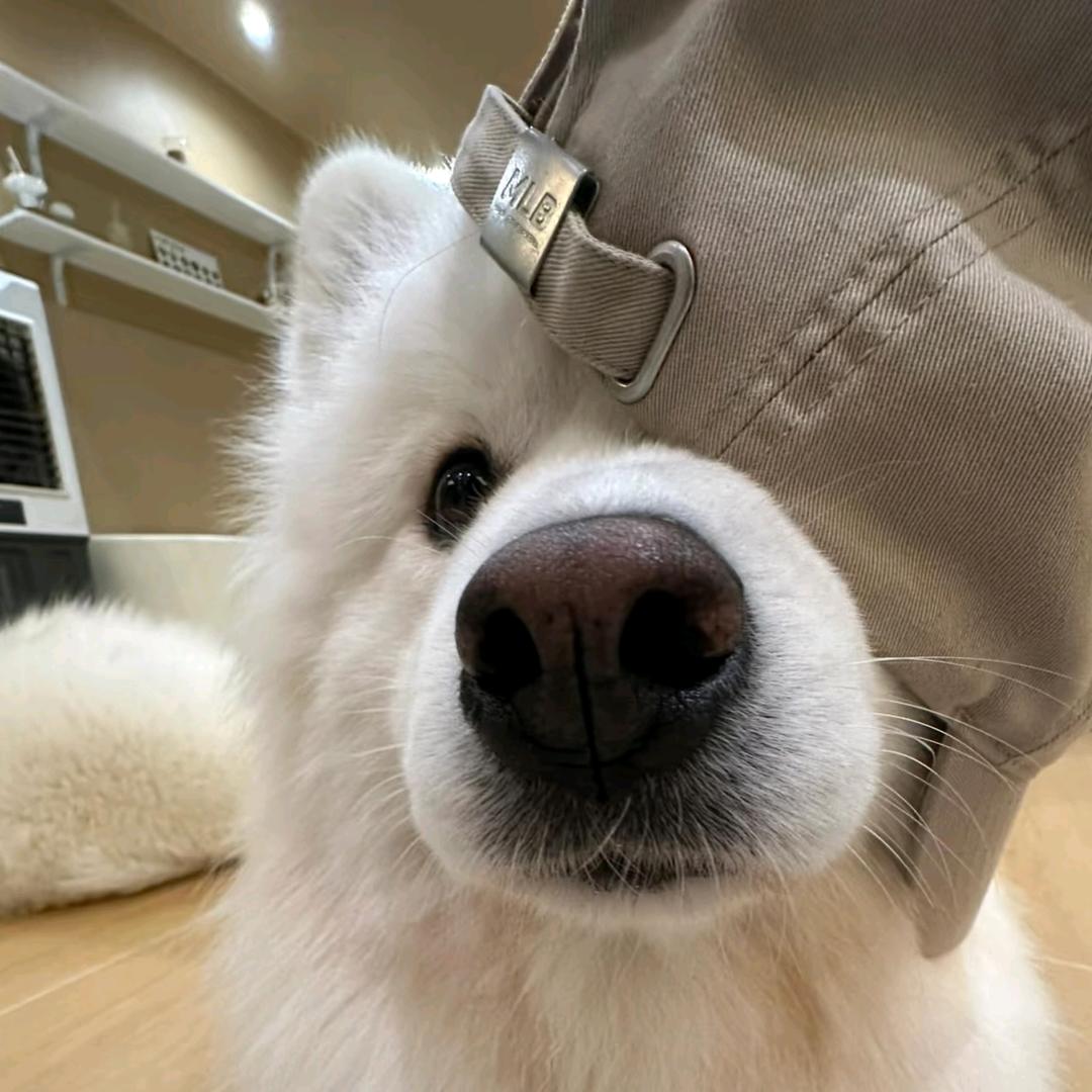 铃木晴彦
