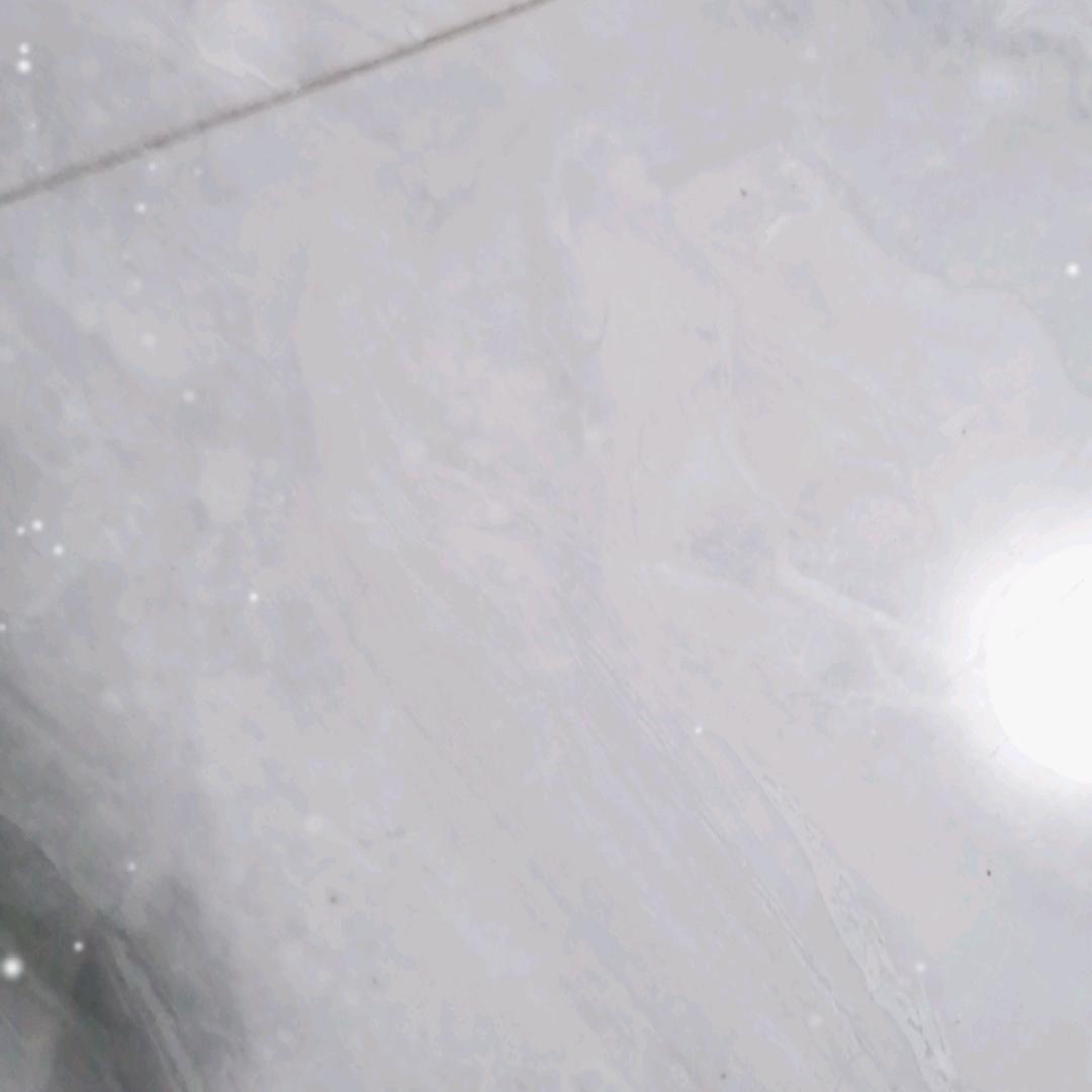 杨了个🐐