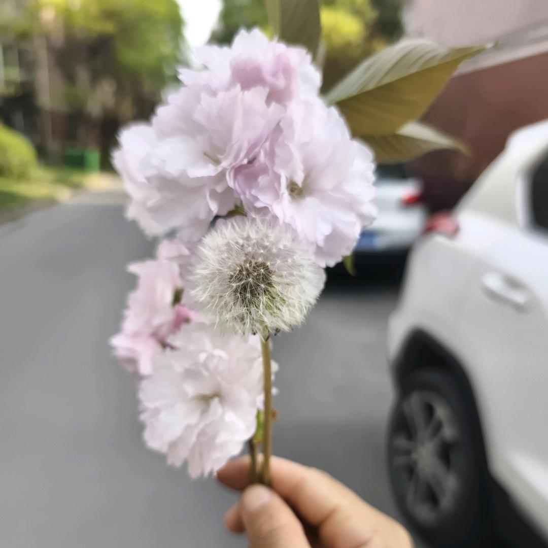 健康快乐