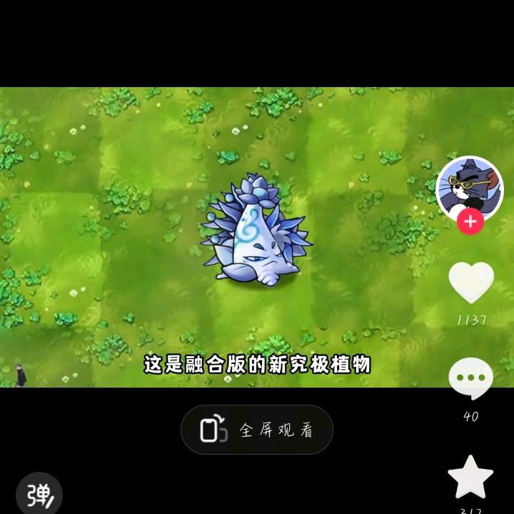 究极云杉（极限哥）