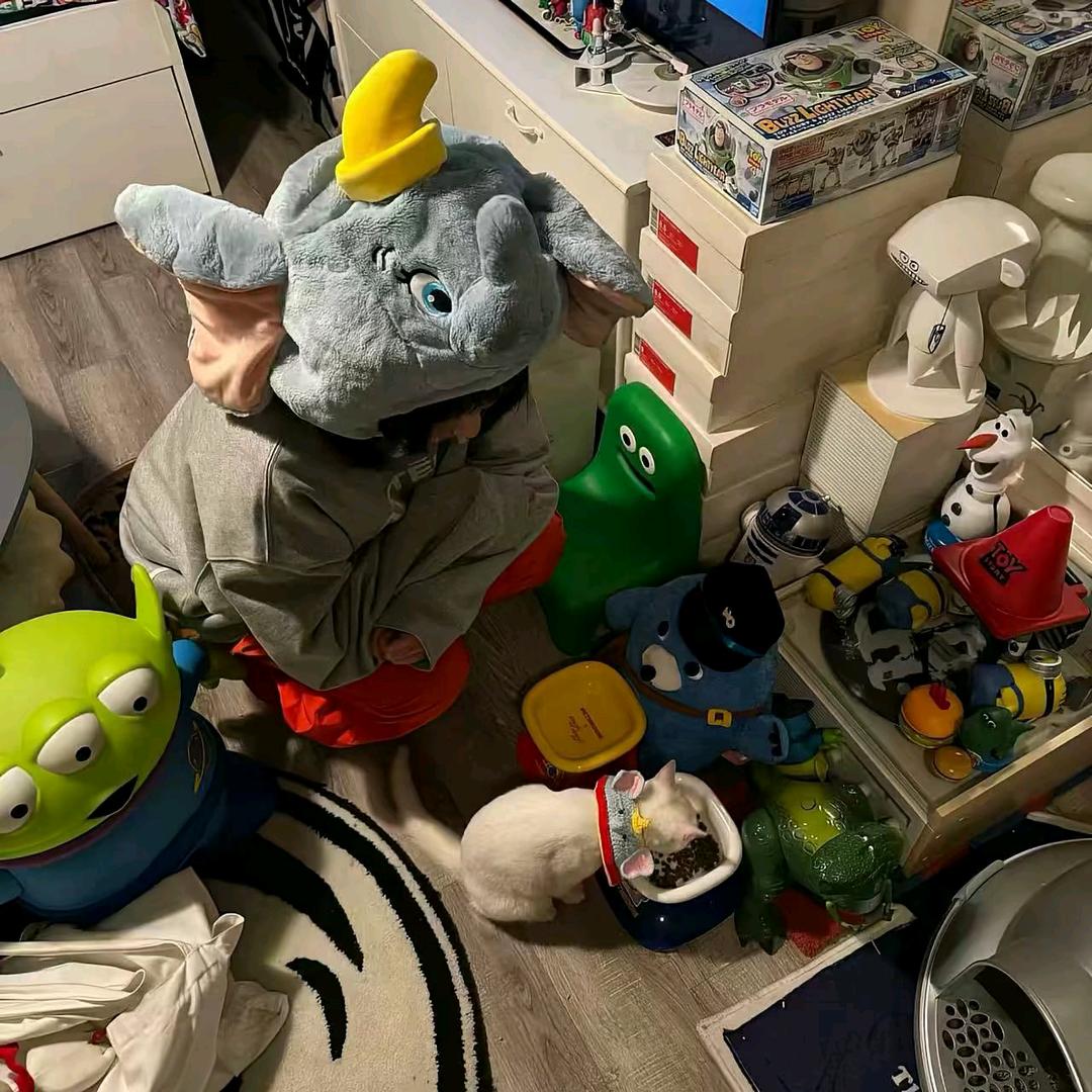 我不叫虚虚鱼🐟