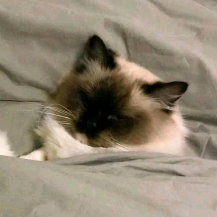 常州升学  欲晓(扬大专业课全省第二)