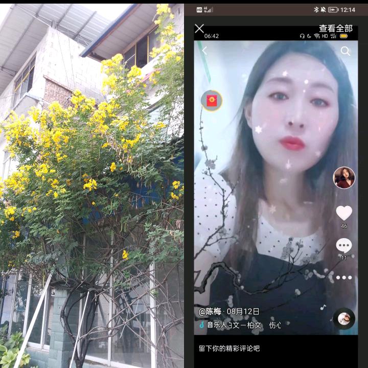 我有一个好爸爸