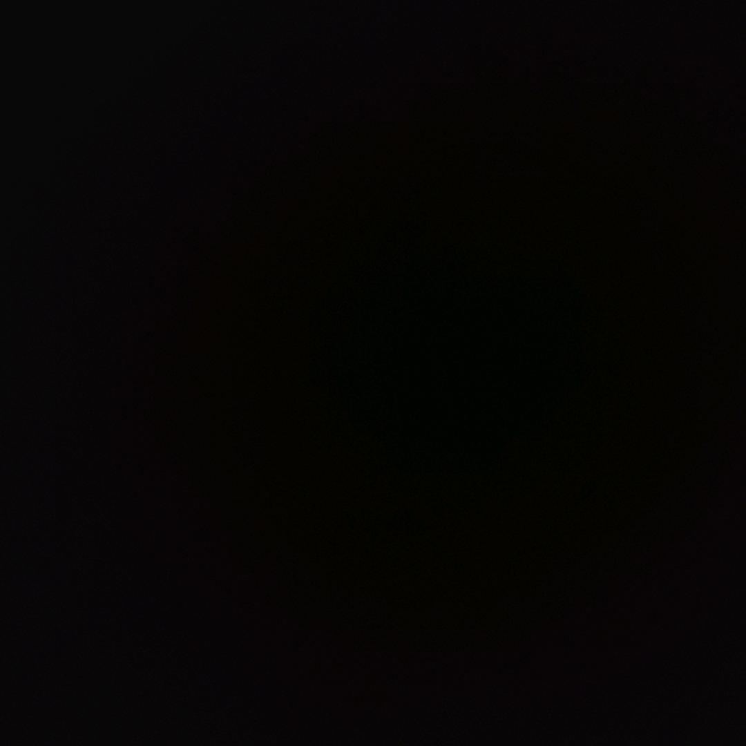 随风飘舞的的叶