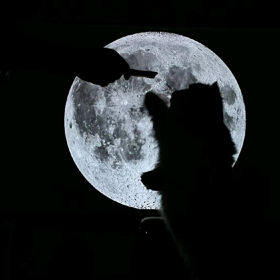 十号套筒在哪？？？