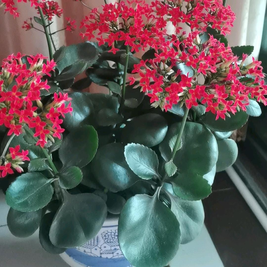 还是原来的我