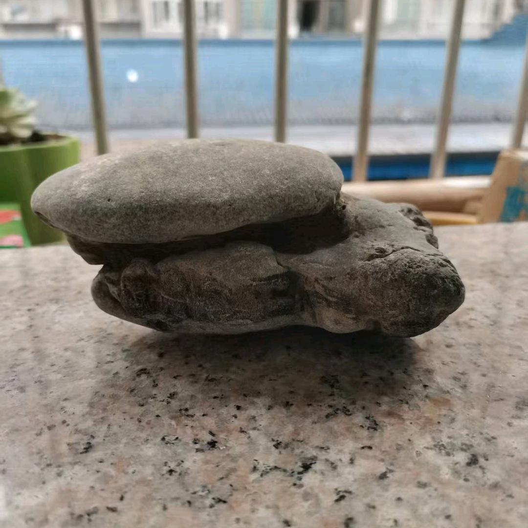 金确陨石/硒石/象形石
