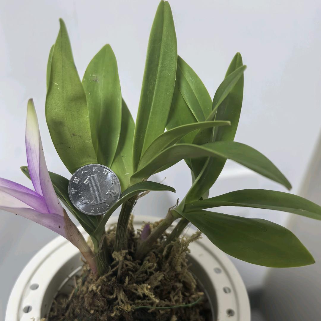 最初