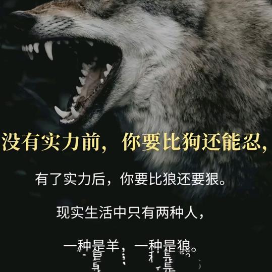 雪恨之刃