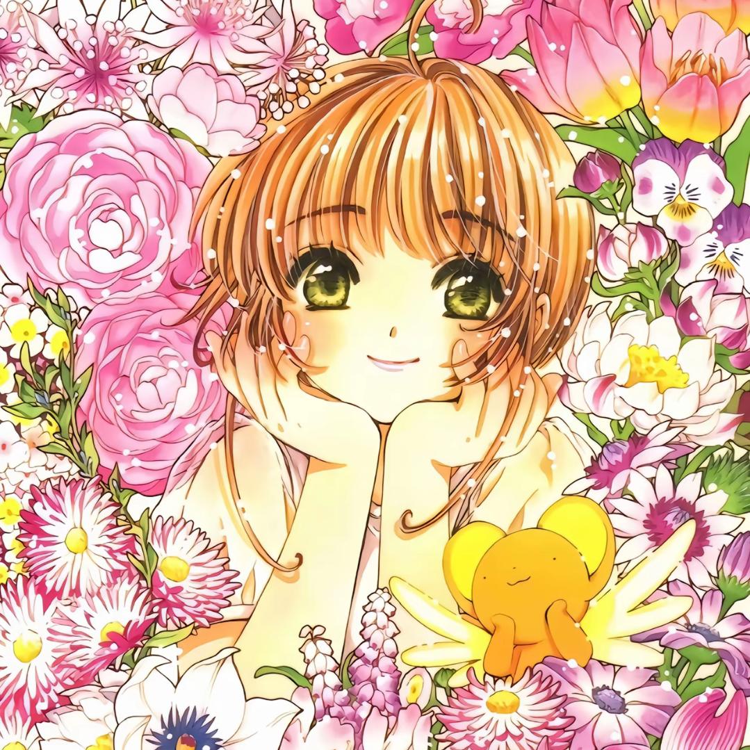 木之本樱