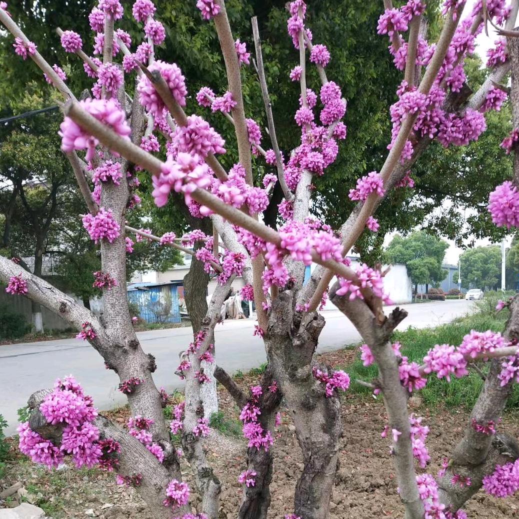 🦋এ᭄孙入ꦿ赵心ོ࿐ᩚ