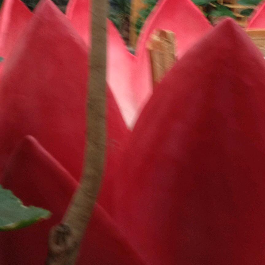 平平淡淡