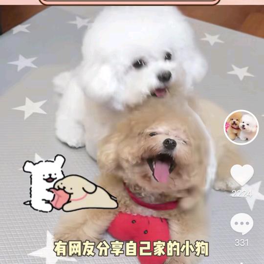 可爱的小阿宝。