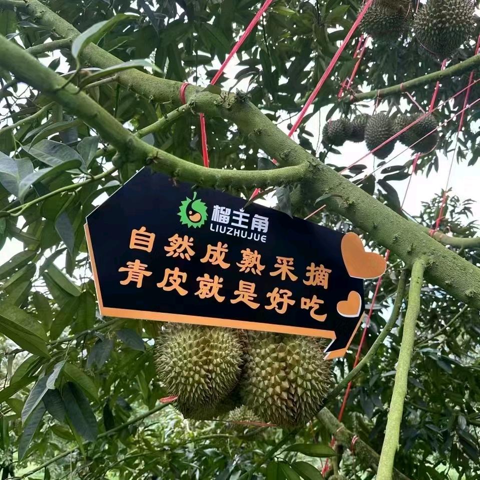 千果汇果品(星达城店)