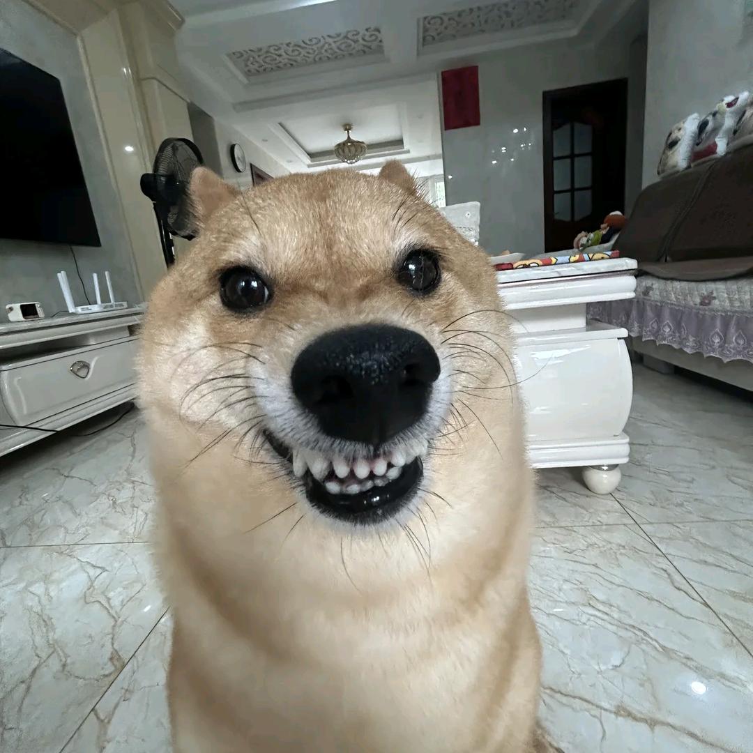 小夫（失控进化）