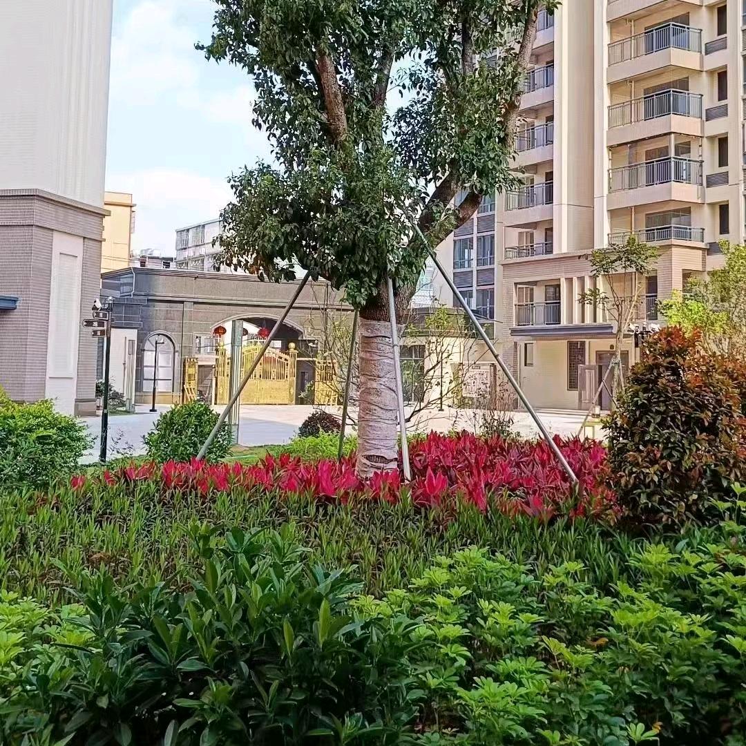 煌荣地产经纪（粤东区）