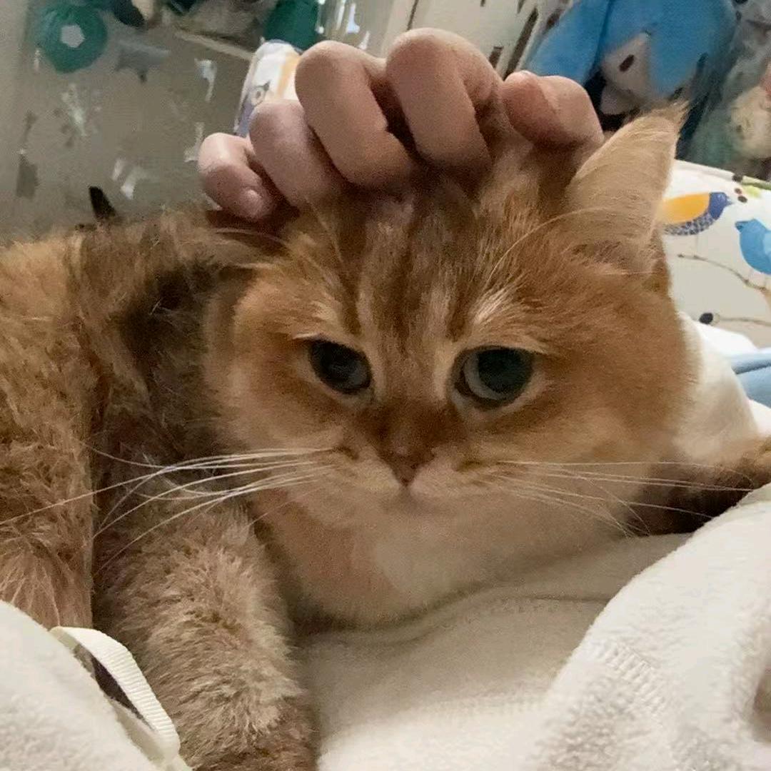 w啦啦～
