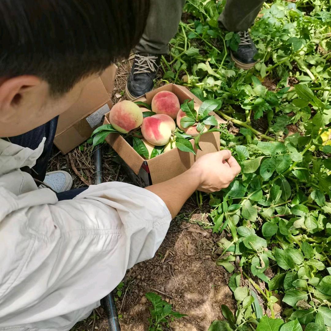 会泽小三妹生活号