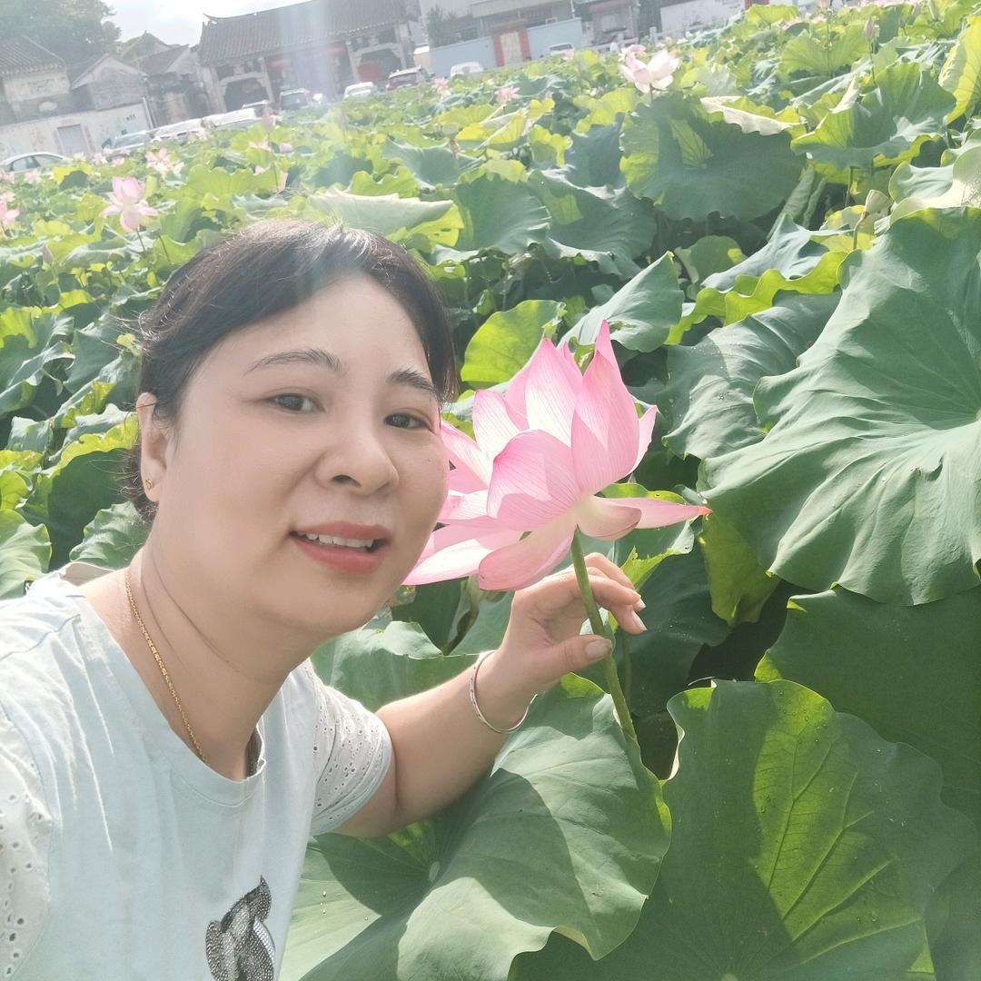 霞姐