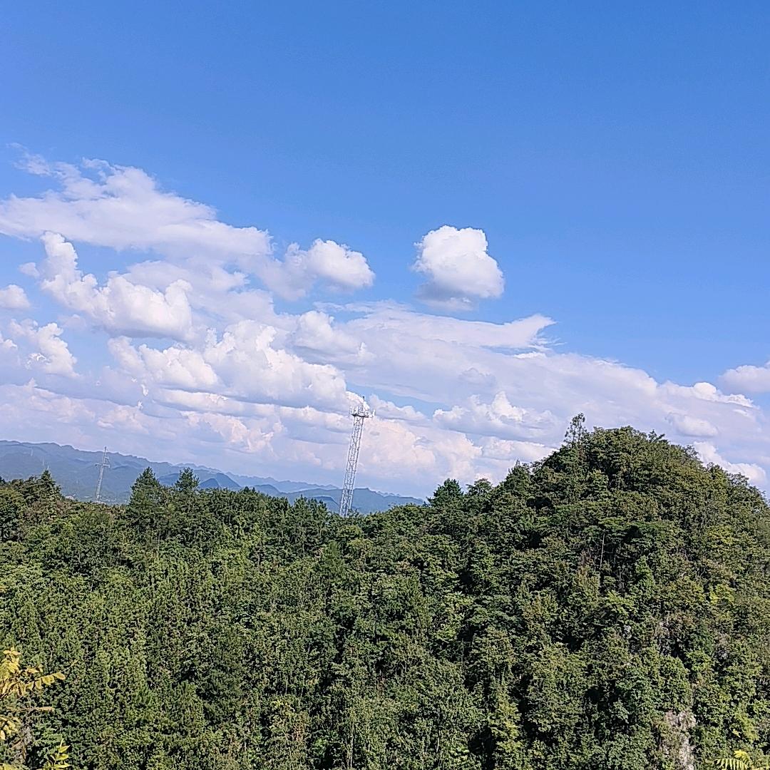坤哥