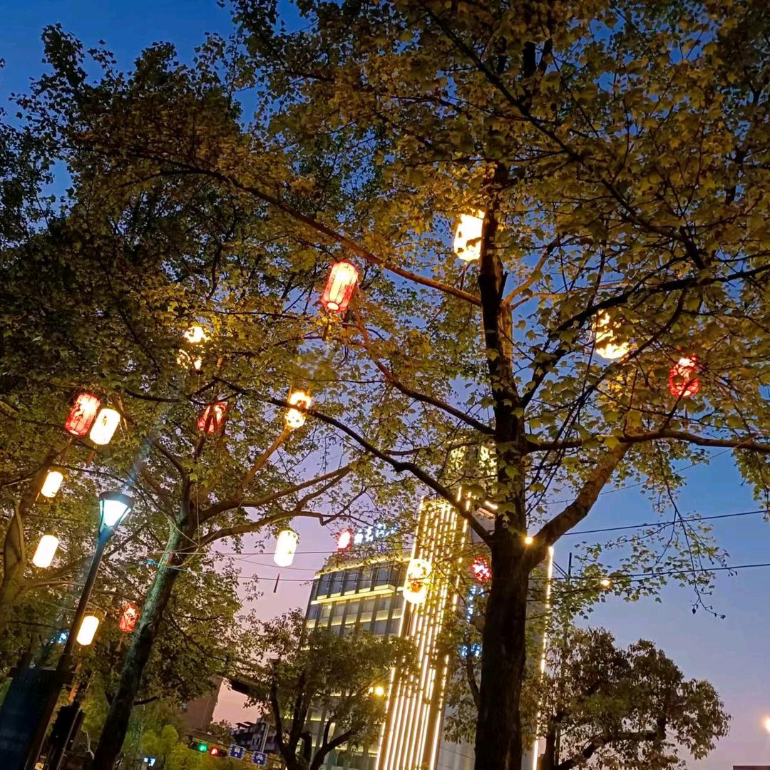 一生一世一双人