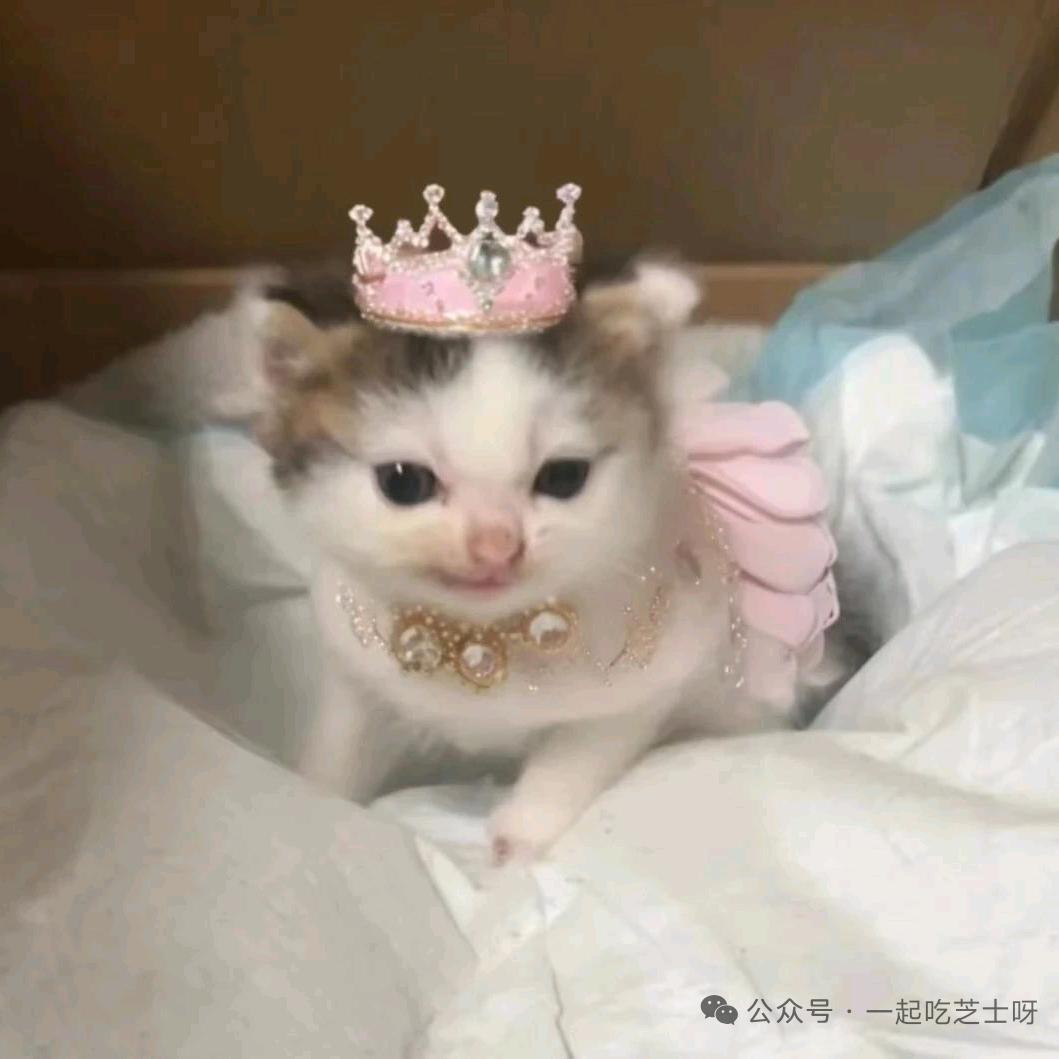 我是瑶瑶阳阳是我好朋友
