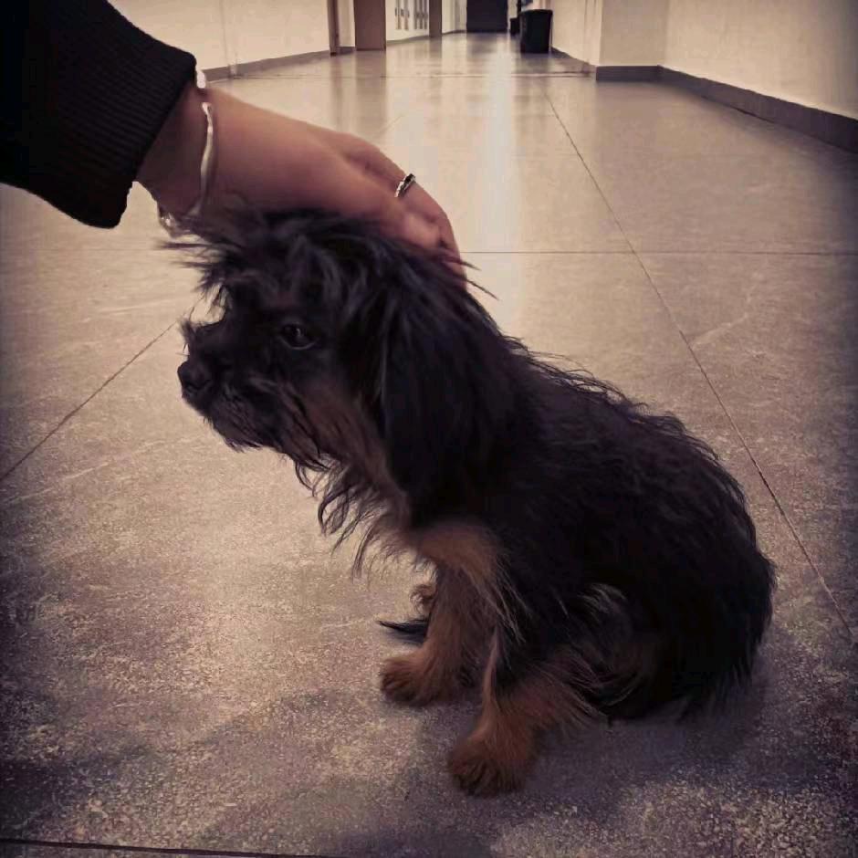 中飞院 适航2302赵庭满